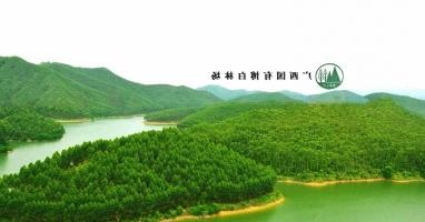 广西国有博白林场与澳门博彩正规网站林业全程机械化示范基地合作协议成功签署